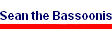 Sean the Bassoonist