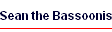 Sean the Bassoonist